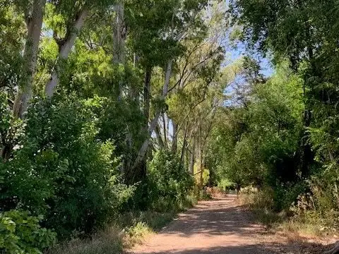 CAMPO EN EXALTACION DE LA CRUZ RUTA 8 KM 74