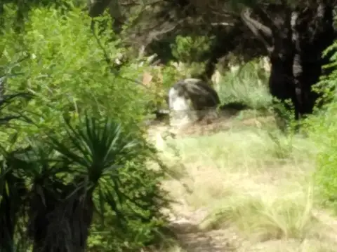 Campo en Venta de 4,50  ha