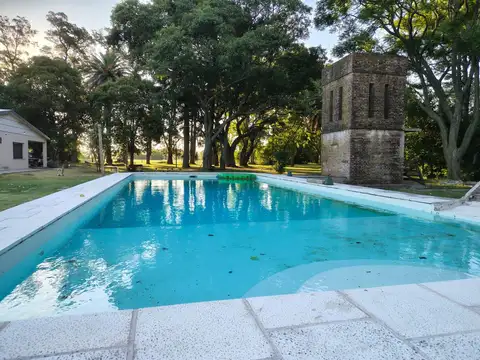 Chalet con piscina mas Campo 6ha en Villa Amelia