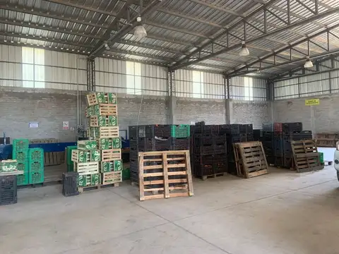 Juan Isidro Maza 3700