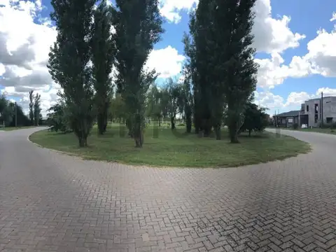 Panamá 2700, Piso 0