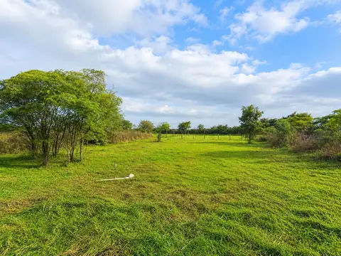 LOTE  AIRES DEL NORDESTE Ruta E53
