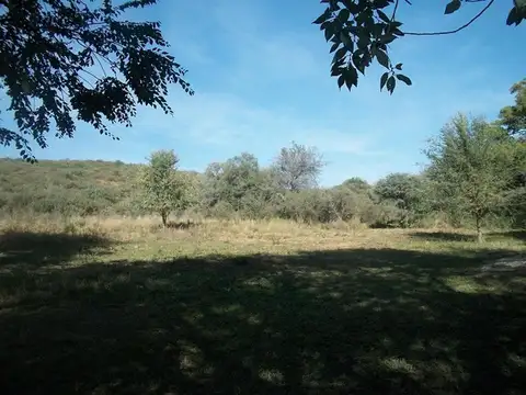 Terreno en Venta 128  mts Fondo