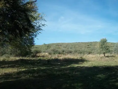 Terreno de casi 6.500 m2 sobre Cno a La Paisanita- A. Gracia
