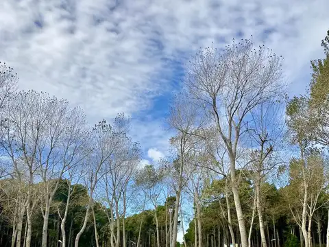 Terreno en Venta en Pinamar, USD 66.000
