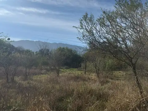 Terreno en Venta 64  mts Fondo