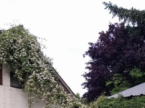 Casa en Alquiler de 2 dormitorios