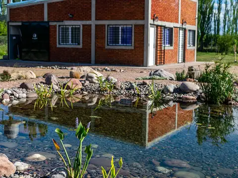 VENTA COMPLEJO DE CABAÑAS NUEVO SAN RAFAEL MENDOZA