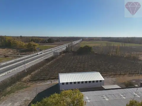 Galpón en alquiler sobre ruta 22