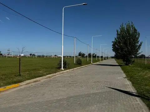 Arroyo Amanecer