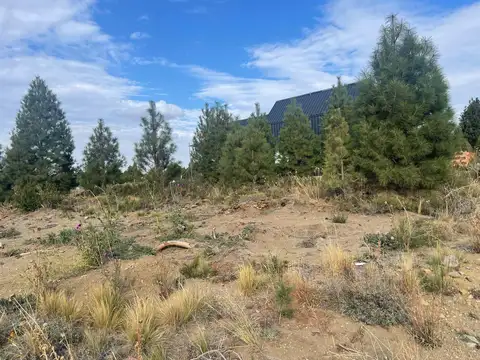Terreno en Venta 40  mts Fondo