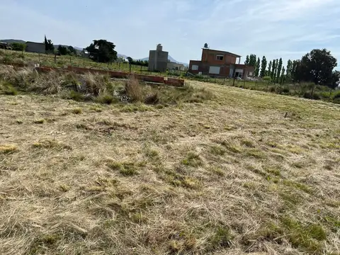 Terreno en Venta 40  mts Fondo