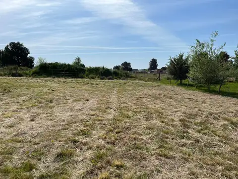 Terreno en Venta de 1687,5 m2