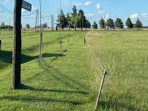 Terreno en venta de 6458 m2 en Chacras de Abbott, Monte