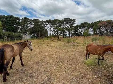 VENTA CASA QUINTA CON CASA A RECLICLAR TANDIL