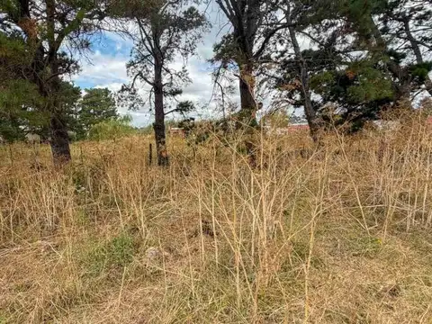 Jorge Luis Borges 300