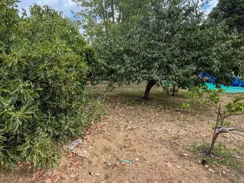 Jorge Luis Borges 300