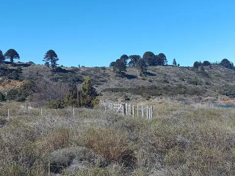 Terreno en Venta en Junin de los Andes, USD 88.000