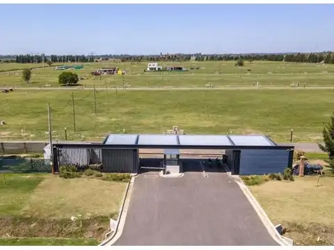 ING. LEON MIGLIERINI