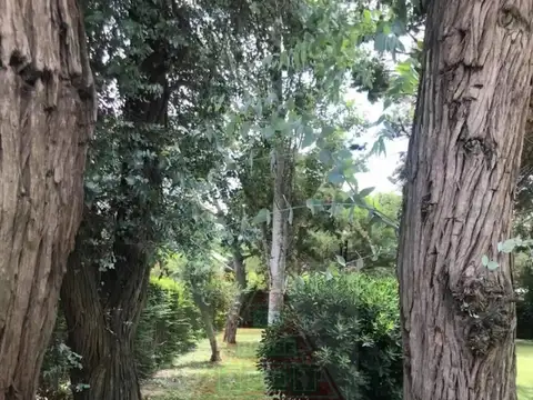 Los Cedros 3500