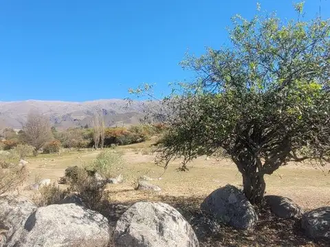 Terreno en Venta de 8168,0 m2