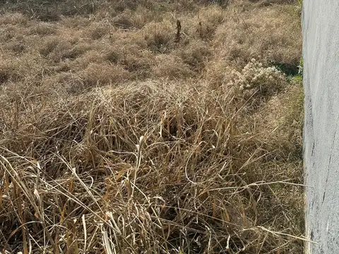 VENTA LOTE DE 600 MTS VILLA RIVERA INDARTE-CORDOBA