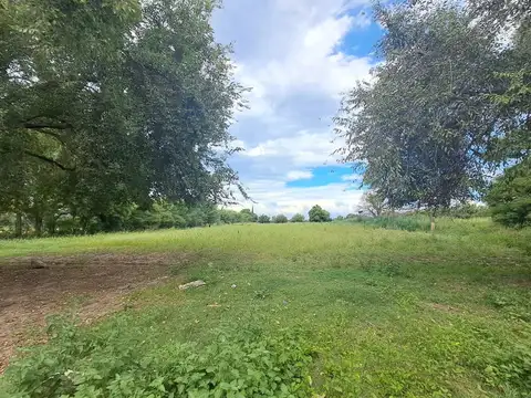 Campo 2.8 has con galpon y casa a refaccionar