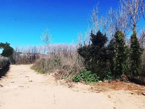 Carilo, lote en venta en calle Avestruz. A1.-