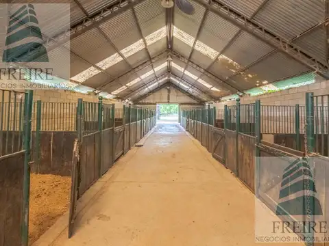 VENDE CAMPO de 24 hectareas con cancha de POLO PILAR Ruta 34