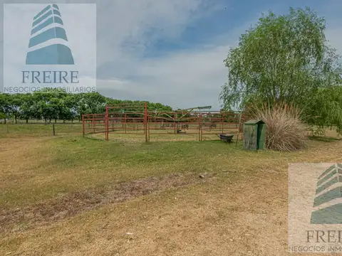 VENDE CAMPO DE 24 hectareas con cancha de POLO a metros de la Ruta 34 Pilar Prov. BS AS