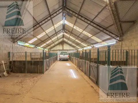 VENDE CAMPO DE 24 hectareas con cancha de POLO a metros de la Ruta 34 Pilar Prov. BS AS
