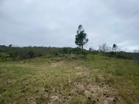 Terreno en Venta de 2500,0 m2