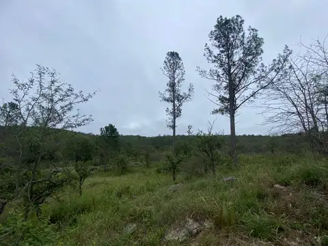 Terreno en Venta en Santa Monica, USD 65.500