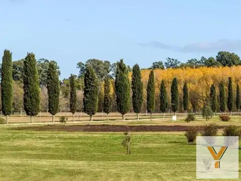 Terreno en Venta de 659,0 m2