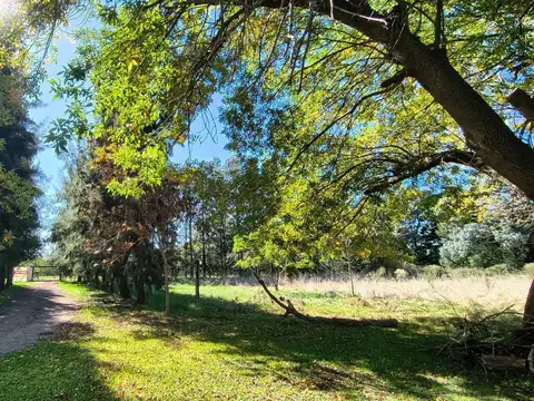 Campo en venta - 73.000Mts2 - La Plata