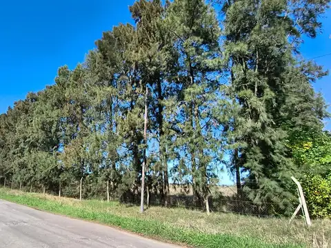 Campo en venta - 73.000Mts2 - La Plata