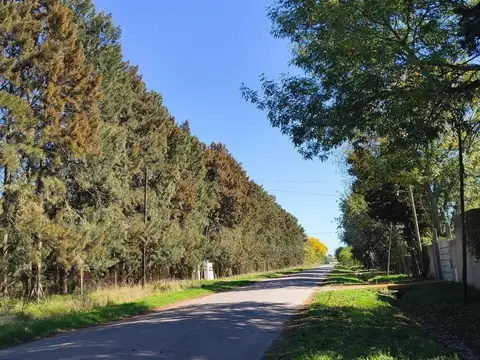 182 y 511