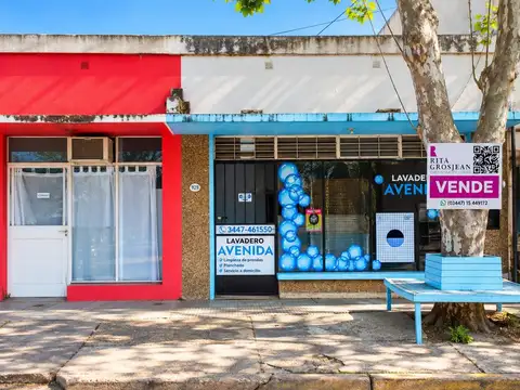 Casa y locales comerciales en venta ¡Ubicación estratégica!