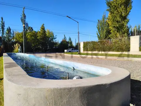 Terreno en Venta 31  mts Fondo