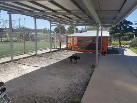 Complejo