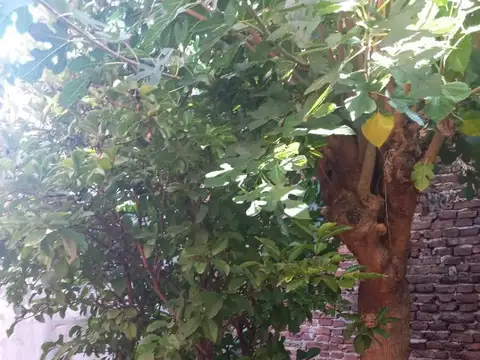 Departamento 2 Amb. Planta baja, a reciclar. 3 Cdras. Estac.