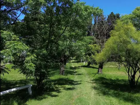 Ruta Provincial 41