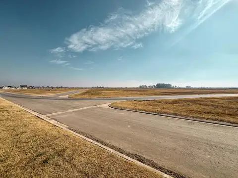 Vida Green 'Lote 178