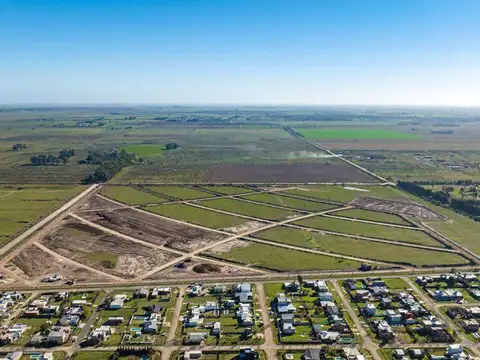 Vida Green 'Lote 178