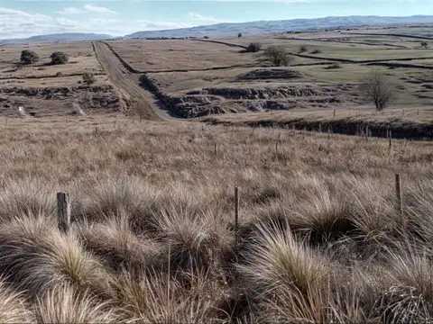 Terreno en Venta de 1500,0 m2