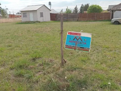 Terreno - Venta - Argentina, BRANDSEN