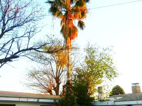 Leandro N. Além y R.J.Cárcano