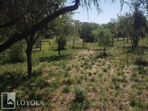 Lote de 1081 m2 en venta Los Molles
