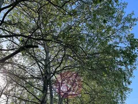 Terreno en Venta en La Ranita, USD 38.000