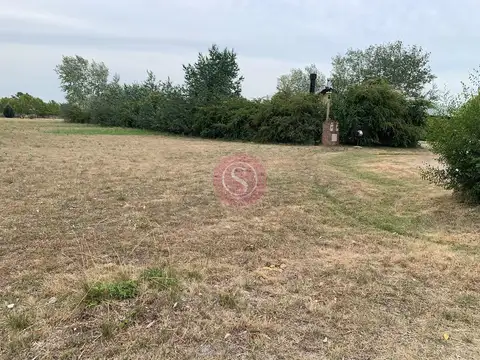 Club de Campo La Ranita 100